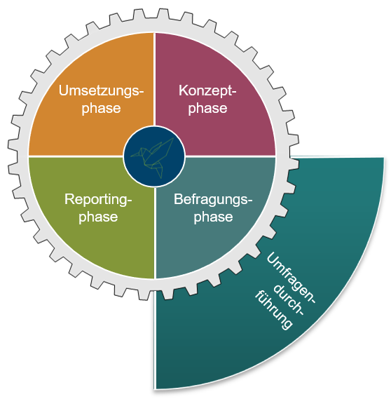 360-Feedback-Befragungsphase Befragungsphase
