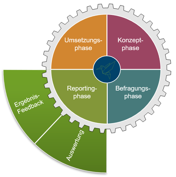 360-Feedback-Reportingphase Reportingphase