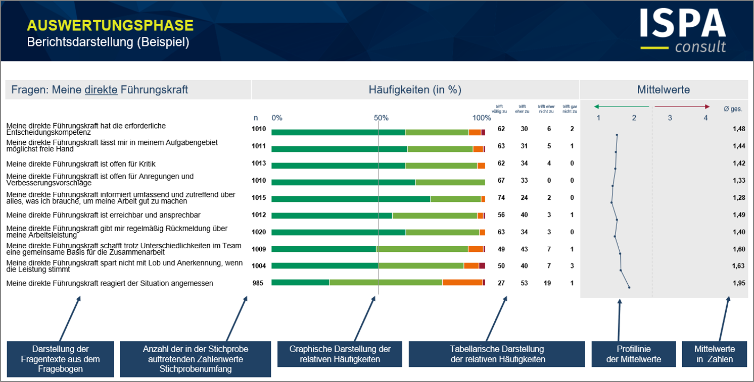 Mitarbeiterbefragung-Auszug-Bericht Online-Fragebogen-Layout
